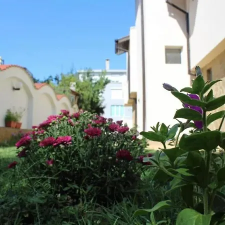 Hostel Siana House Ravda